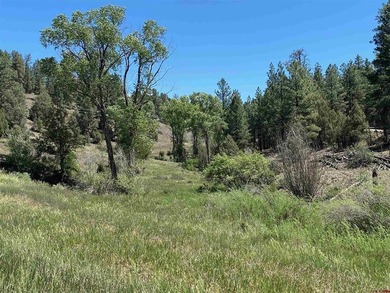 Juli Morelock, Galles Properties, C:,,: 344.6 acres in Downtown - photo 25