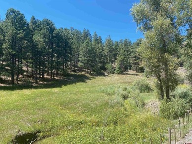 Juli Morelock, Galles Properties, C:,,: 344.6 acres in Downtown - photo 26