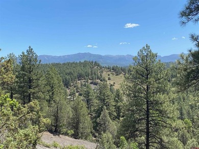 Juli Morelock, Galles Properties, C:,,: 344.6 acres in Downtown - photo 27