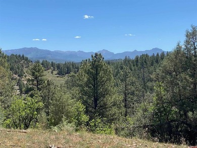 Juli Morelock, Galles Properties, C:,,: 344.6 acres in Downtown - photo 28