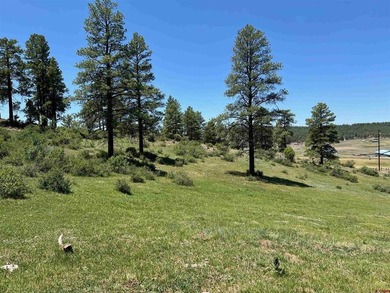 Juli Morelock, Galles Properties, C:,,: 344.6 acres in Downtown - photo 30