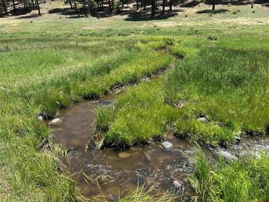 Juli Morelock, Galles Properties, C:,,: 344.6 acres in Downtown - photo 32