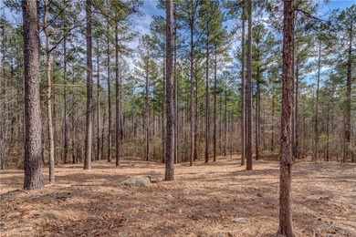Welcome to Harbor Cove. The Cliffs at Keowee Falls newest - photo 2