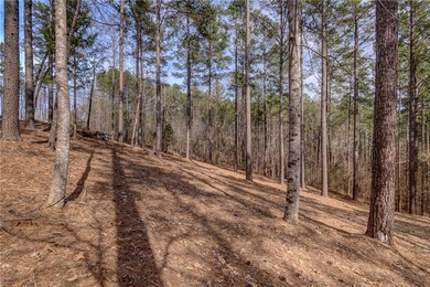 Welcome to Harbor Cove. The Cliffs at Keowee Falls newest - photo 3