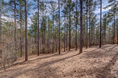 Welcome to Harbor Cove. The Cliffs at Keowee Falls newest - photo 4