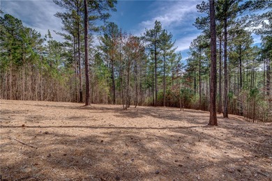 Welcome to Harbor Cove. The Cliffs at Keowee Falls newest - photo 2