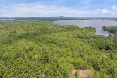 Discover the possibilities with this exceptional 19.45-acre - photo 3