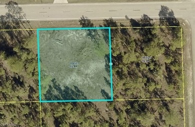 Lehigh Acres Area Lot For Sale in Lehigh Acres Florida