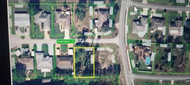 Lake Grassy Lot For Sale in Lake Placid Florida