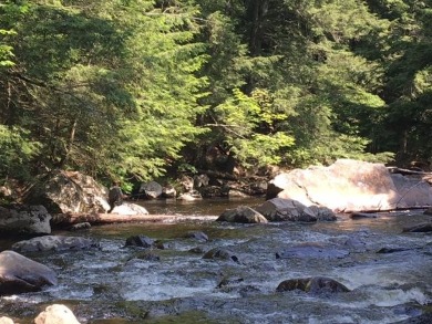 Bouquest River Acreage Sale Pending in Lewis New York