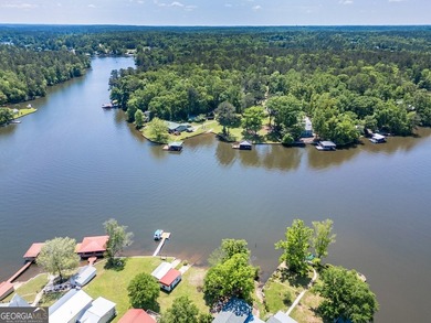 Priced to Sell - Deeded Prime Tussahaw Location on Jackson Lake - photo 12