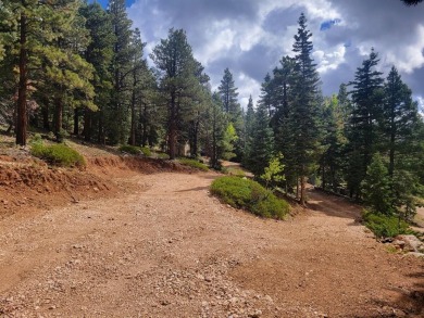 Navajo Lake Lot For Sale in Duck Creek Utah