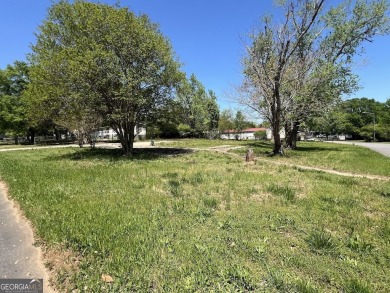 Lake Lot For Sale in Locust Grove, Georgia