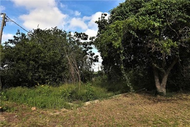 Located near the intersection of Leopard and Nueces Bay - photo 12