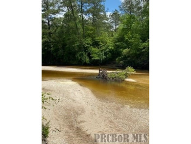 It's that time of year, *Lets Go To The River, Yall*. This is - photo 12