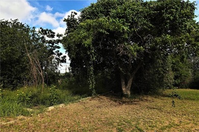 Located near the intersection of Leopard and Nueces Bay - photo 13