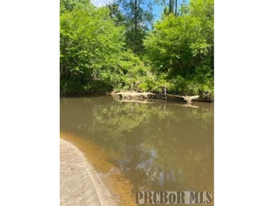 It's that time of year, *Lets Go To The River, Yall*. This is - photo 13