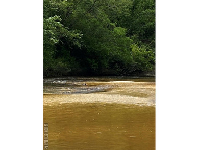 It's that time of year, *Lets Go To The River, Yall*. This is - photo 15
