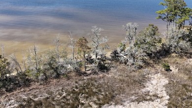 Welcome to 107 Pin Oak Ct, Beaufort, NC 28516! Nestled within - photo 19