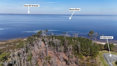 Welcome to 107 Pin Oak Ct, Beaufort, NC 28516! Nestled within - photo 23