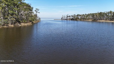 Welcome to 107 Pin Oak Ct, Beaufort, NC 28516! Nestled within - photo 29