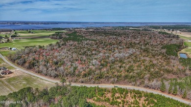 CLOSE BY THE RIVER, located just outside of Historic Edenton - photo 3
