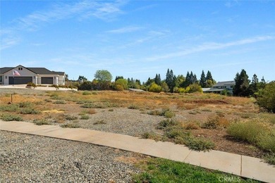 Last Chance in this GORGEOUS Community! Only 2 buildable lots - photo 13