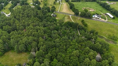 Don't miss this rare opportunity to own 4.35 stunning acres with - photo 17