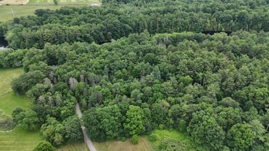 Don't miss this rare opportunity to own 4.35 stunning acres with - photo 20