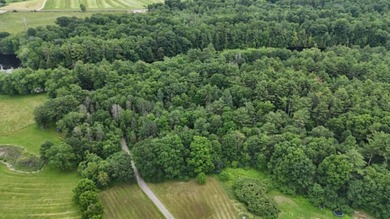 Don't miss this rare opportunity to own 4.35 stunning acres with - photo 23