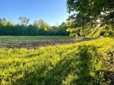 Lake Acreage For Sale in Lawrence, Michigan