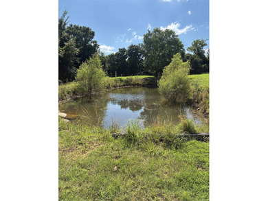 This inviting 3 bed, 2 bath country home offers a lifestyle - photo 14
