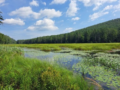 Lake Acreage For Sale in Warrensburg, New York