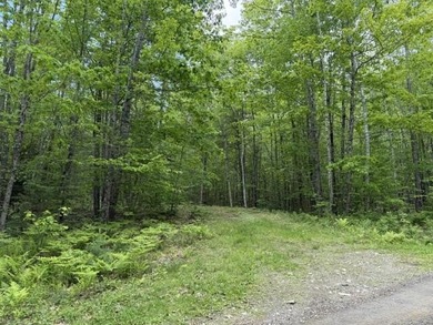 Beautiful country setting offering privacy and scenic views - photo 1