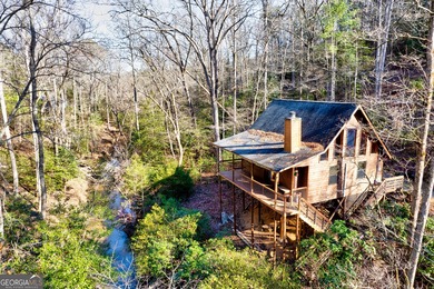 (private lake, pond, coastal) Home For Sale in Blue Ridge Georgia