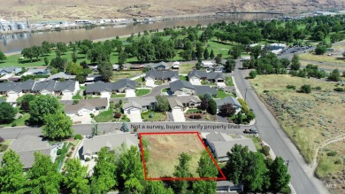 Snake River Lot For Sale in Clarkston Washington