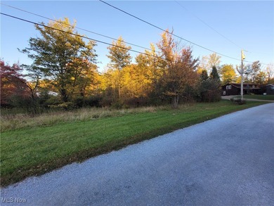 Cinnamon Lake Lot For Sale in West Salem Ohio