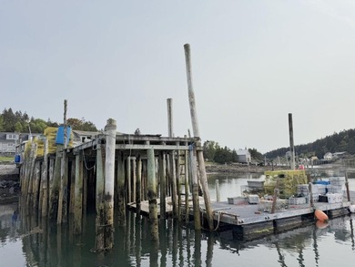 A rare inner harbor offering with a 5 bedroom house and a 32 x - photo 38