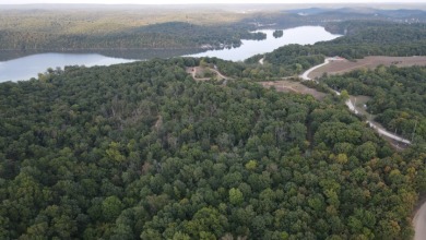 174 Surveyed Lake Lots in Edwards, MO for Sale - photo 18