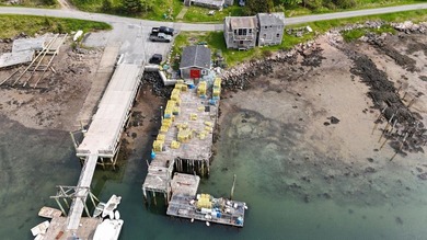 A rare inner harbor offering with a 5 bedroom house and a 32 x - photo 46