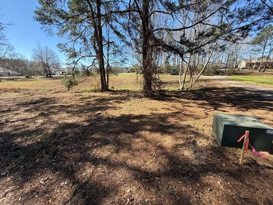 This 4 bedroom 2 bath home will be situated on a must see 1.36 - photo 11