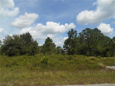 Lehigh Acres Area Lot For Sale in Lehigh Acres Florida