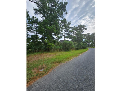 Seller is offering a $1000.00 credit to do any studies or what - photo 8