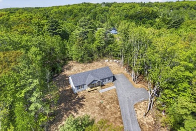 Beautiful new 3-bedroom, 2-bath ranch located in Butler Estates - photo 1