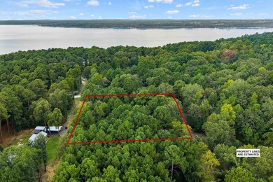Waterfront and Waterview Lots - Lake O' the Pines. Looking for - photo 15