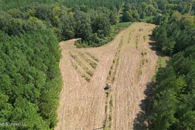 This 81+/- acre recreational tract in Holmes County offers the - photo 15