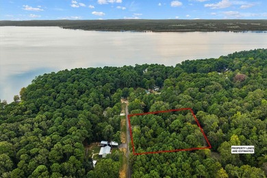 Waterfront and Waterview Lots - Lake O' the Pines. Looking for - photo 17