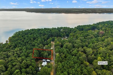 Waterfront and Waterview Lots - Lake O' the Pines. Looking for - photo 18