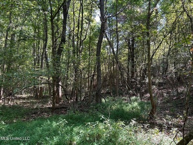 This 81+/- acre recreational tract in Holmes County offers the - photo 18
