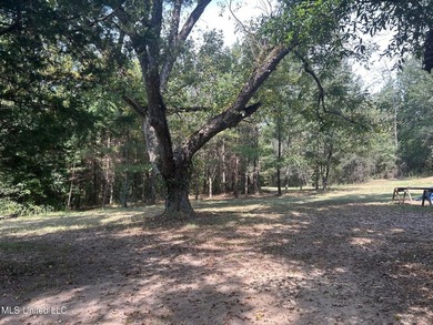 This 81+/- acre recreational tract in Holmes County offers the - photo 19